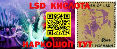 индика Сланцы