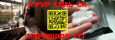 индика Сланцы