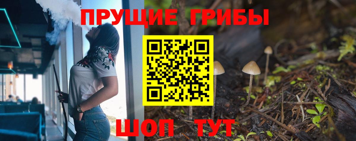 Галлюциногенные грибы GOLDEN TEACHER  Вход с VPN  где можно купить   Саяногорск 