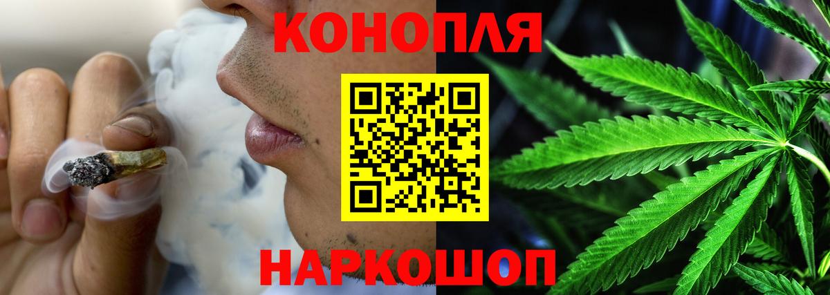 Конопля гибрид Саяногорск